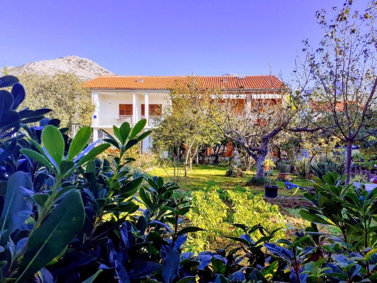 Apartments Lana Starigrad Paklenica Exterior foto